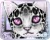 H| Dalmatin Cat *Pink*