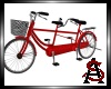 Bicycle Built For 2