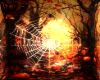 Spider Web Bg