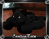 (E)Obsidian: Kitty Rug