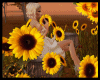 [RM] Autumn Flowers/sit