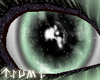 ~[Tsu]~ SpringAnmal Eyes