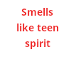 smells like teen spirit