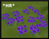 *HR* Pansy (Purple)