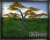(ED1)Tree-19