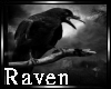 |R| Raven 2