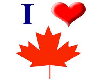 Canada Tee