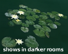 Lilly Pads (darker room)