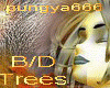 [A]pungya Trees B/D