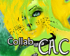 [C.A.C] Lime Froggy M