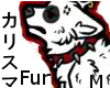 Gray Wolf {M}