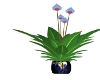 plant in KH vase