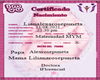 M/ Certifcado Liliana