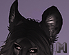 COAL Dog Fox Ears