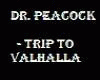 Trip To Valhalla