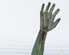 hand squeleton greeny