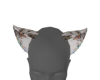 golden wolf ears