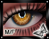 !! Honey Brown M/F