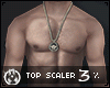 Top Scaler 3%