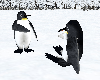 Penguins Playing