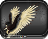 [CH] Soe Wings