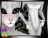 C; LilTabby Fur M v1