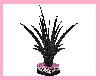 Pink Leopard Plant 2