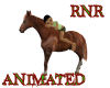 ~RnR~ANI HORSE WALKER