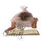 reading book pose