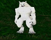 Big Bad Wolf White M/F