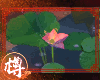 樽.莲花 lotus 2