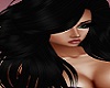 Wild Noir