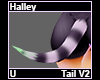 Halley Tail V2