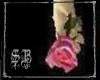 sb faery tea rose