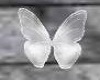 Pretty White Butterflies