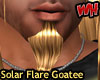 Solar Flare Goatee