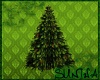 )S( Spruce Tree