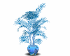 blue dolphin plant