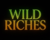 Wild Riches Fur Coat