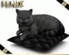 Radio Cat Black