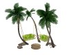 Palm tree swings