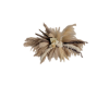 P| PAMPAS WALL ART