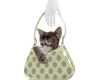 Posie Cat in the bag