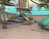 Summer Beach