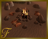 F: Magical BeachFireplac