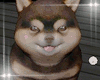 SHIBA Puppy