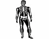 skeleton gloves