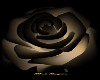 BLACK AND GOLD ROSE