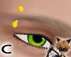 (C) Yellow Right Eyebrow