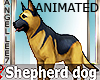 SHEPHERD WATCH DOG ANIM